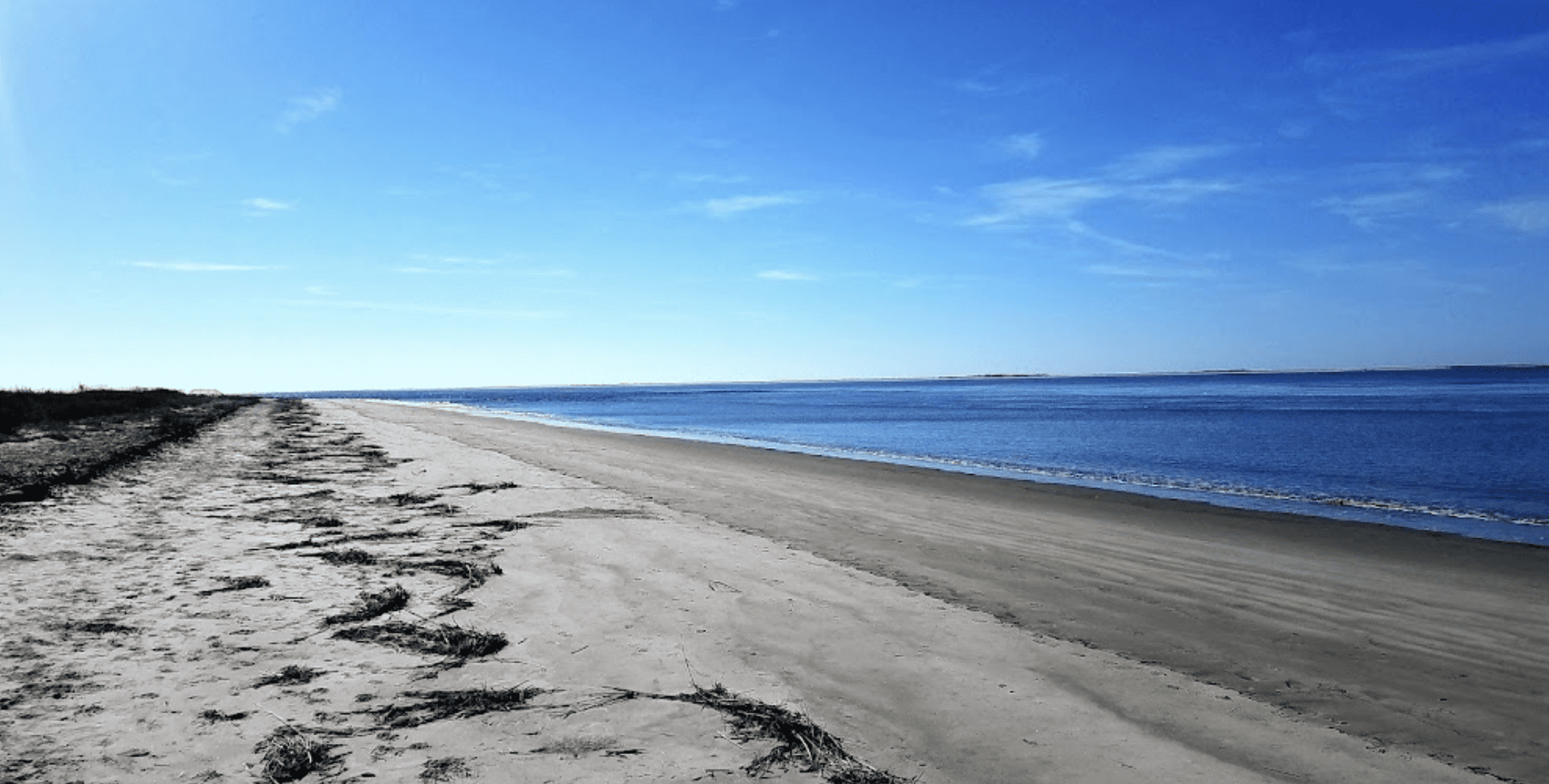Best Beaches South Carolina
