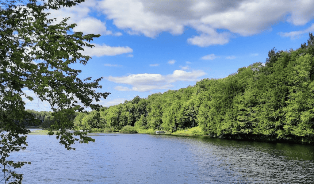 The 8 Best Places to Kayak Near Utica, New York (2024)