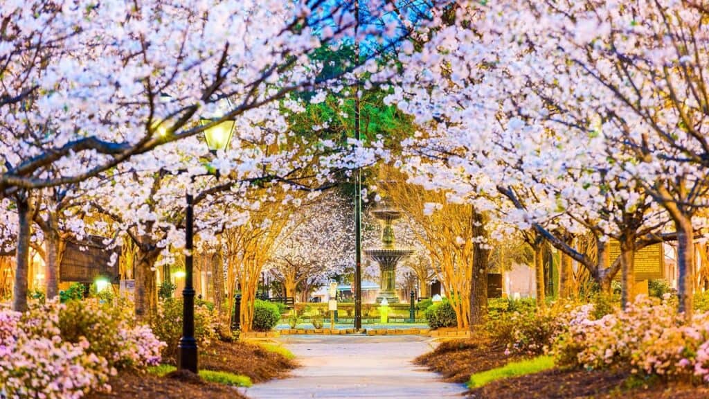 Carolyn Crayton Park