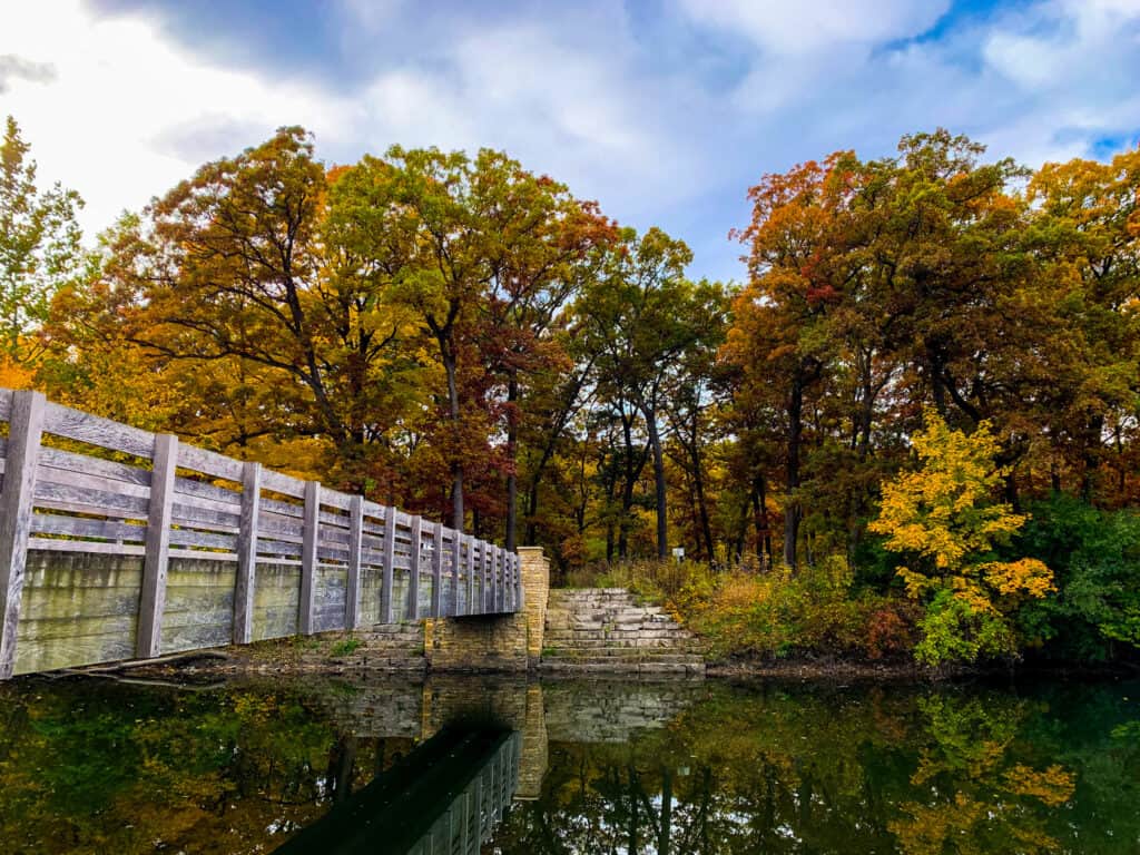 Fullersburg Woods Forest Preserve
