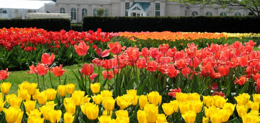 Hershey Gardens